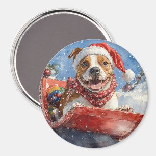 Íman American Staffordshire em trenó de Natal