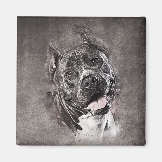 Íman American Staffordshire Terrier - Amstaff (Frente)