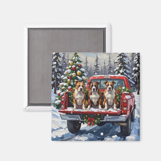 Íman American Staffordshire Terrier Christmas Red Truck (Front/Back)