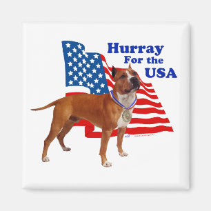Íman American Staffordshire Terrier EUA