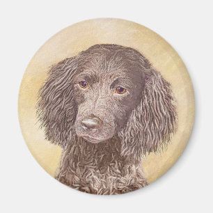 Íman American Water Spaniel Painting - Arte Original de