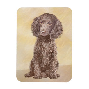 Íman American Water Spaniel Painting - Arte Original de