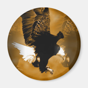 Íman Americano calvo Eagle em vôo