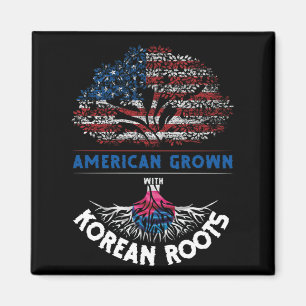 Íman Americano Cresceu Raízes Coreanas EUA Bandeira Ven