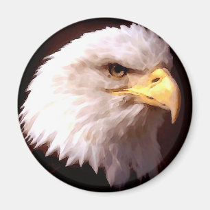 Íman Americano Eagle da águia americana