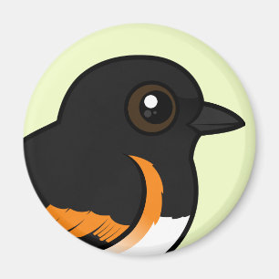 Íman Americano Redstart