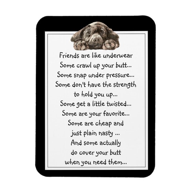 Íman Amigo divertido é como uma citação de roupa íntima (Vertical)