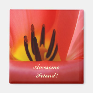 Íman Amigo Incrível! ímã Flor de Tulipa Vermelha
