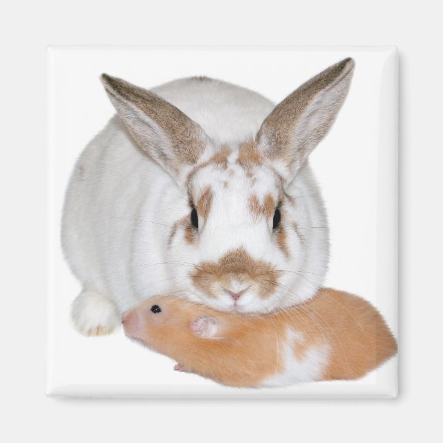 Íman Amigos (Frente)