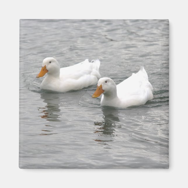 Íman Amigos (Frente)