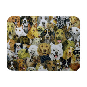 Íman Amigos do cão
