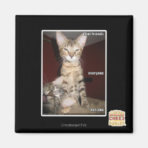 Íman Amigos do idiota