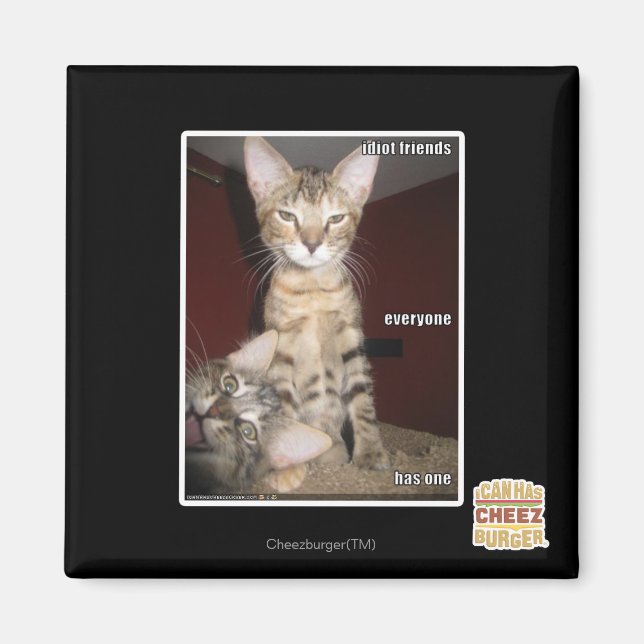 Íman Amigos Idiotas (Frente)