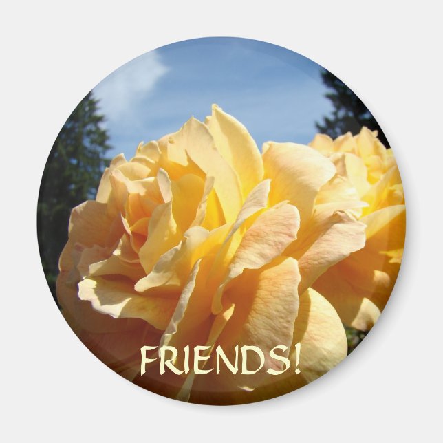 ÍMAN AMIGOS! ÍMÃS LARANJA ROSAS JARDIM PRESENTES (Frente)