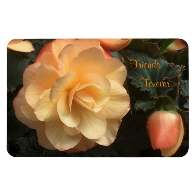 Íman Amigos para sempre (Horizontal)