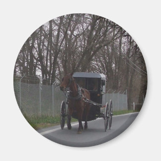 Íman Amish Buggy