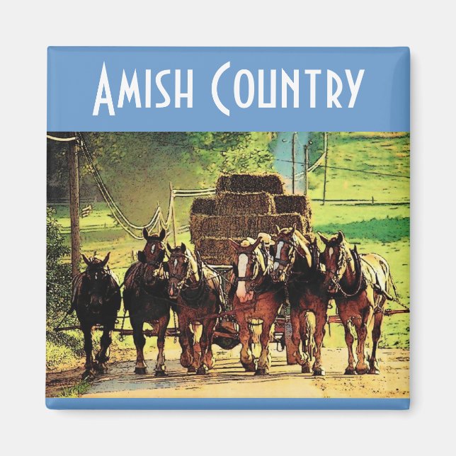Íman Amish Country Magnet (Frente)