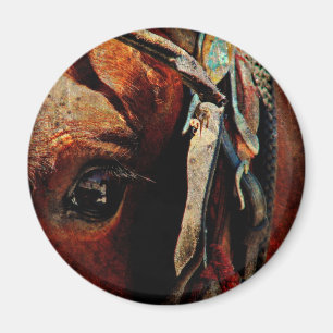 Íman Amish Horse Eye