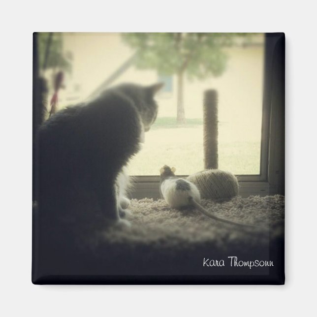 Íman Amizade (Frente)