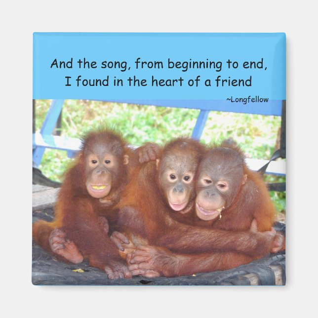 Íman Amizade animal 3 dos bebês não uma multidão (Frente)