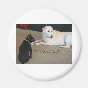 Íman Amizade de Cães