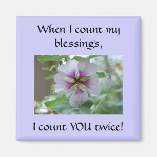 Íman Amizade - ímã