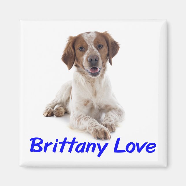 Íman Amo cachorro Brittany Spaniel  (Frente)