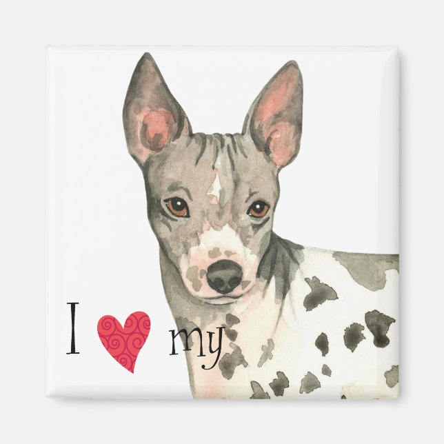 Íman Amo o meu Terrier americano sem cabelos (Frente)
