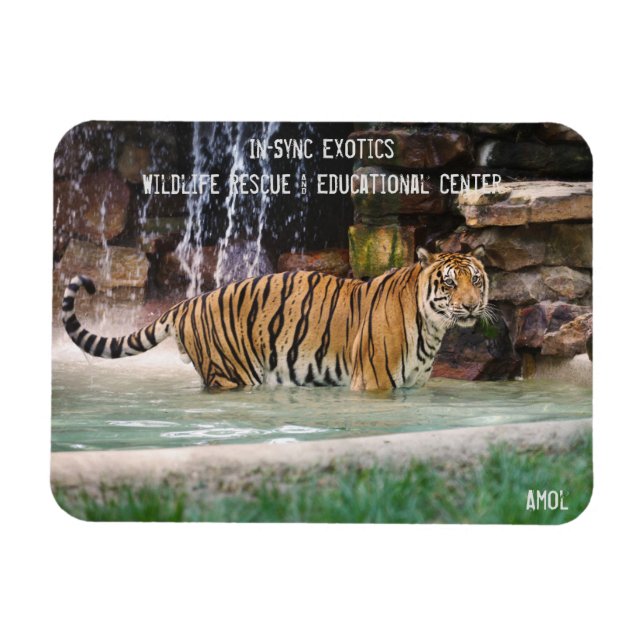 Íman Amol - (Horizontal)