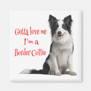 Íman Amor Borda Preta e Branca Collie Puppy Red Magnet