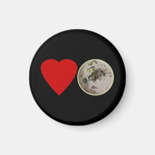 Íman Amor Curry Verde Tailandês... Comida na rua Tail