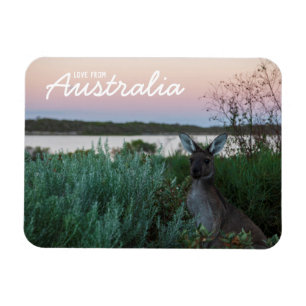 Íman Amor Da Austrália Kangaroo Sunset Lake Magnet