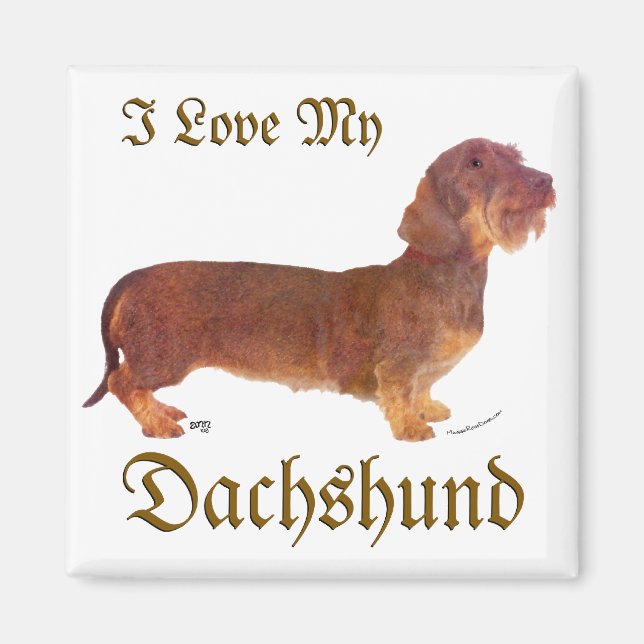 Íman Amor de Dachshund (Frente)