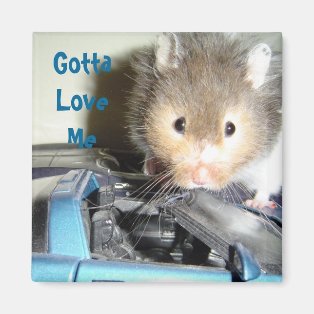 Íman Amor de Hamster (Frente)