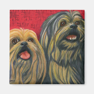 Íman Amor de Lotsa Lhasa