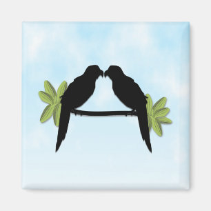 Íman Amor de Papagaio