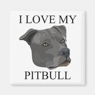 Íman Amor de PITBULL!
