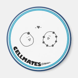 Íman Amor do elétron