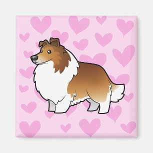 Íman Amor do Sheepdog/Collie de Shetland
