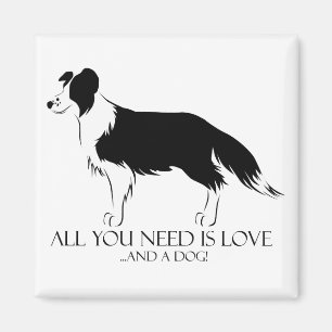 Íman Amor E Cão