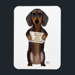 Íman Amor e Dachshund<br><div class="desc">Amor e Dachshund por FabFunky. Possui um belo dachshund segurando um sinal de "Tudo que você precisa é amor e um dachshun". | 191436D</div>