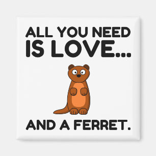 ÍMAN AMOR E FERRETO