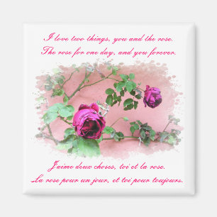 Íman Amor & ímã dos rosas