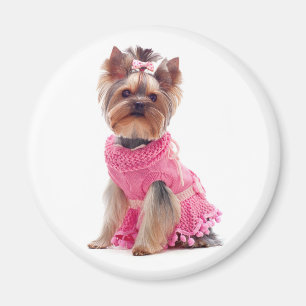 Íman Amor Yorkshire Terrier Puppy Dog Magnet