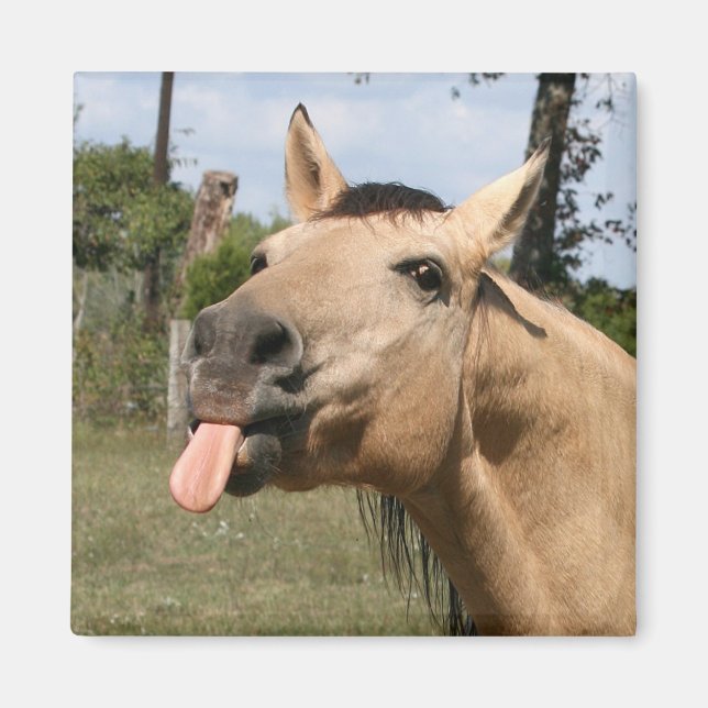 Íman amora (Frente)