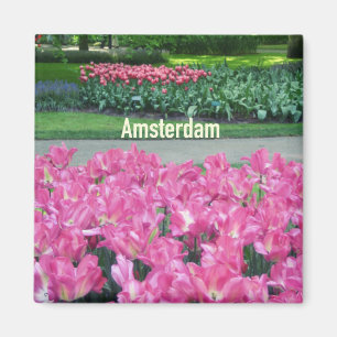 Íman Amsterdão