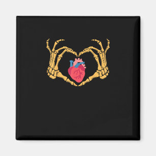 Íman Anatomia Cardíaca Cardíaca Cvicu Enfermeira Ha