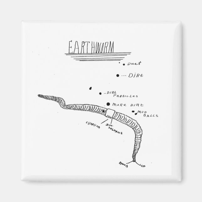 Íman anatomia das minhocas (Frente)