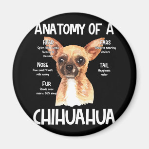 Íman Anatomia De Chihuahua Para Pistas De Cachorro