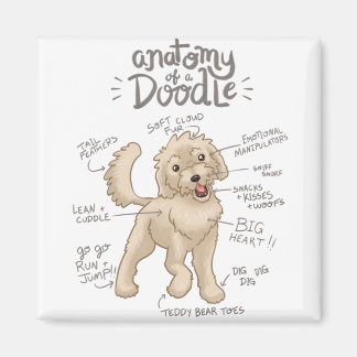 Íman Anatomia de um Cachorro de Dodle